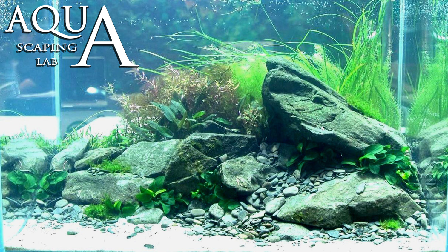 lancering bezoeker Vleien Tutorial "River bottom" Natural aquarium plants and rocks (size 60 x 40 x 40  95L) ~ Aquascaping Lab